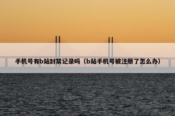 手机号有b站封禁记录吗（b站手机号被注册了怎么办）