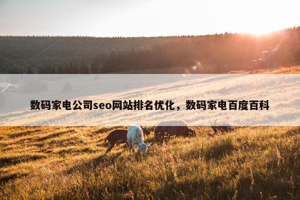 数码家电公司seo网站排名优化，数码家电百度百科