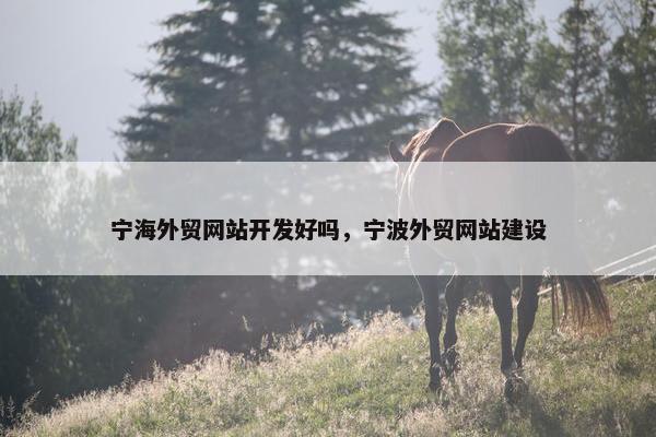 宁海外贸网站开发好吗，宁波外贸网站建设