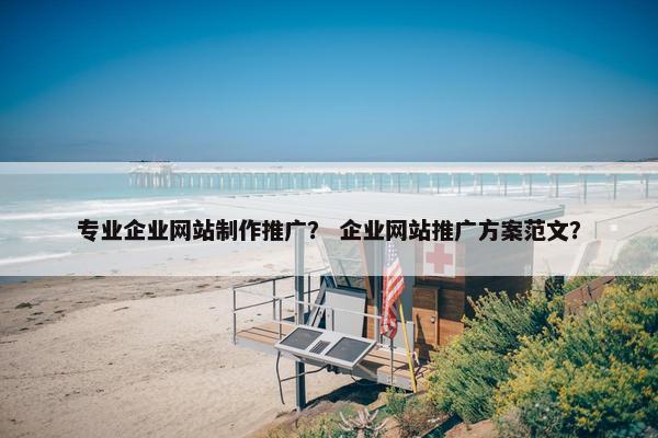 专业企业网站制作推广？ 企业网站推广方案范文？