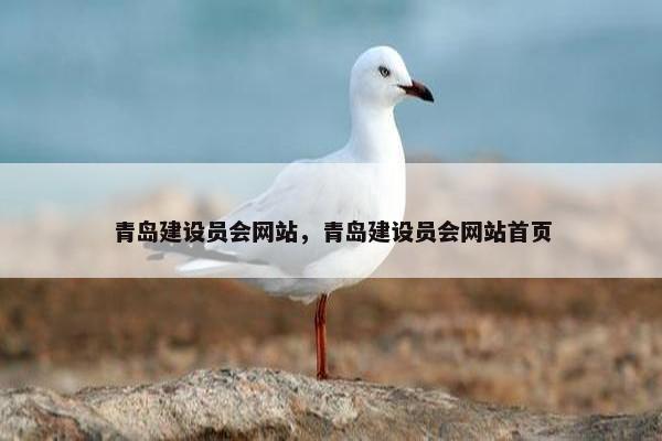 青岛建设员会网站，青岛建设员会网站首页