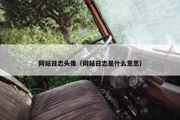 网站日志头像（网站日志是什么意思）