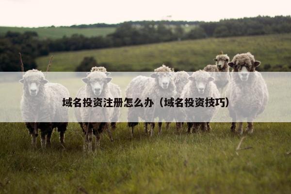 域名投资注册怎么办（域名投资技巧）