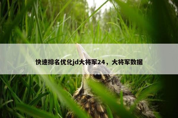 快速排名优化jd大将军24，大将军数据