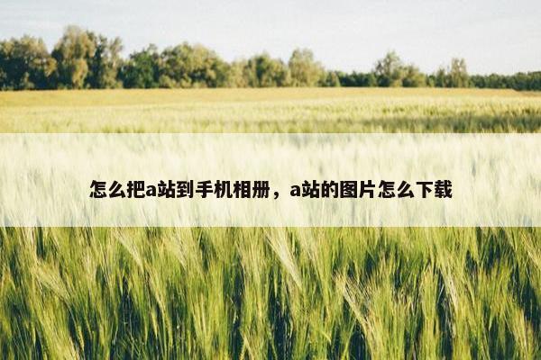 怎么把a站到手机相册，a站的图片怎么下载