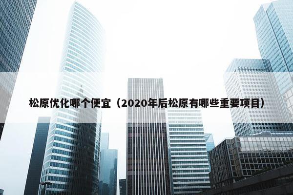 松原优化哪个便宜（2020年后松原有哪些重要项目）