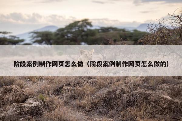 阶段案例制作网页怎么做（阶段案例制作网页怎么做的）
