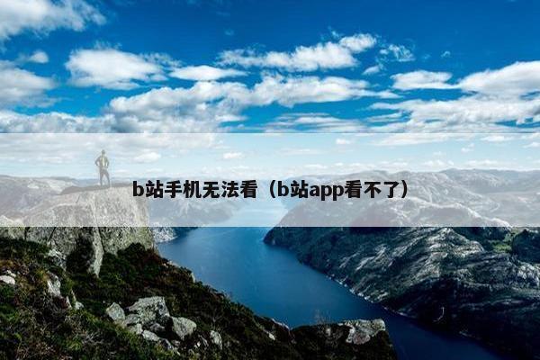 b站手机无法看（b站app看不了）