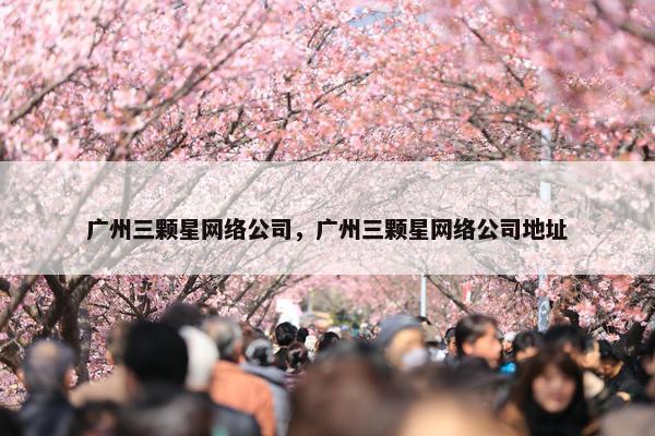 广州三颗星网络公司，广州三颗星网络公司地址