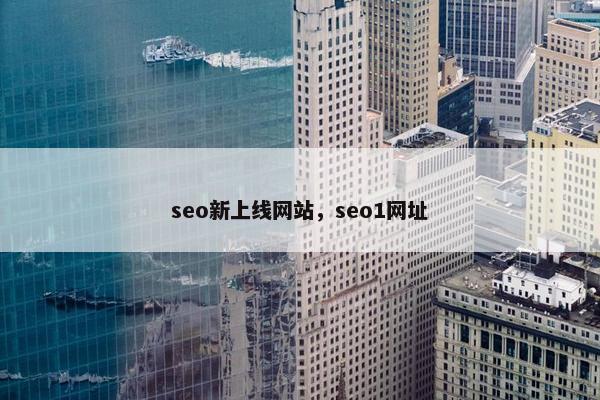 seo新上线网站，seo1网址