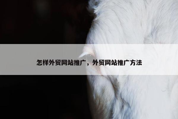 怎样外贸网站推广，外贸网站推广方法