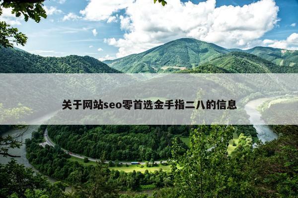 关于网站seo零首选金手指二八的信息