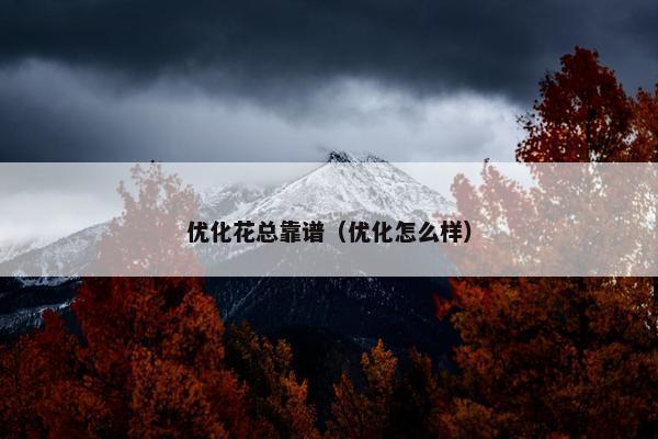 优化花总靠谱（优化怎么样）