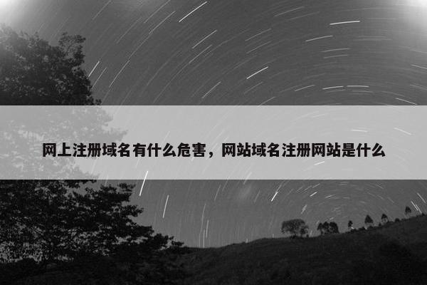 网上注册域名有什么危害，网站域名注册网站是什么
