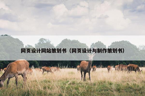 网页设计网站策划书（网页设计与制作策划书）