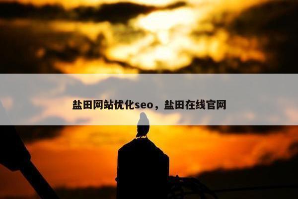 盐田网站优化seo，盐田在线官网
