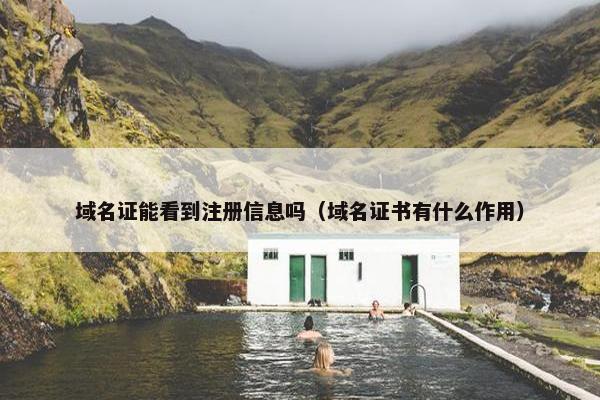 域名证能看到注册信息吗（域名证书有什么作用）