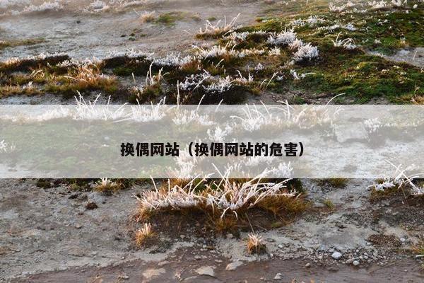 换偶网站（换偶网站的危害）