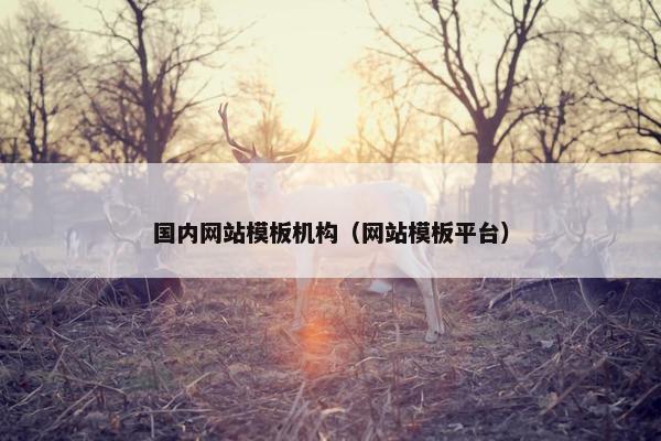 国内网站模板机构（网站模板平台）