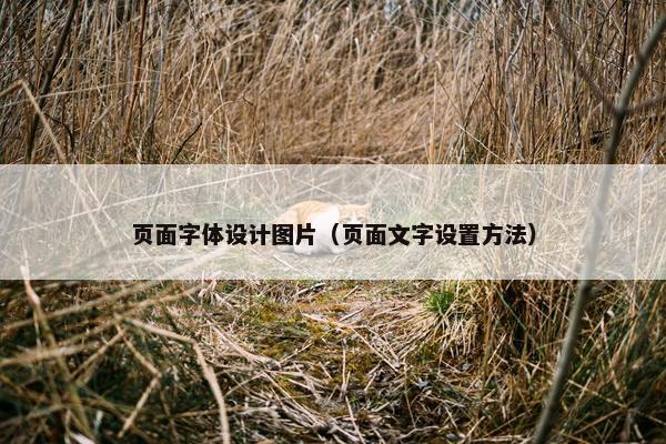 页面字体设计图片（页面文字设置方法）