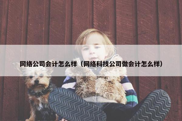 网络公司会计怎么样（网络科技公司做会计怎么样）