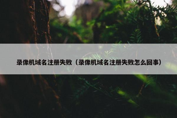 录像机域名注册失败（录像机域名注册失败怎么回事）
