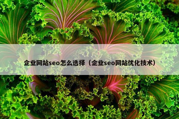 企业网站seo怎么选择（企业seo网站优化技术）