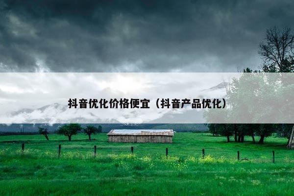 抖音优化价格便宜（抖音产品优化）