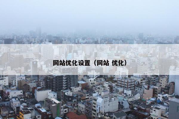 网站优化设置（网站 优化）