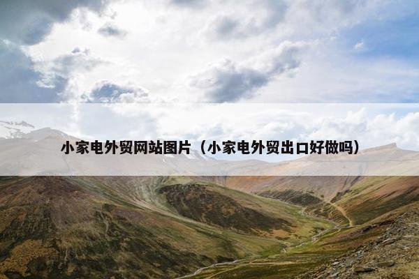 小家电外贸网站图片（小家电外贸出口好做吗）