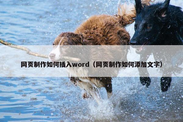 网页制作如何插入word（网页制作如何添加文字）
