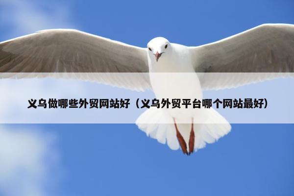 义乌做哪些外贸网站好（义乌外贸平台哪个网站最好）