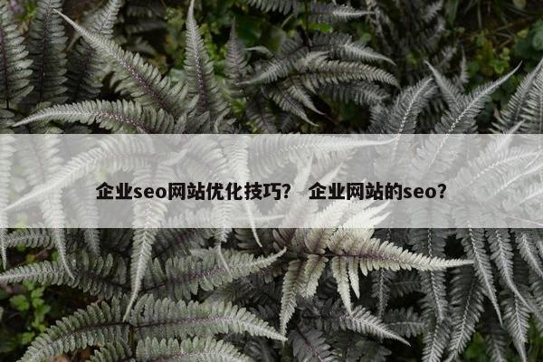 企业seo网站优化技巧？ 企业网站的seo？