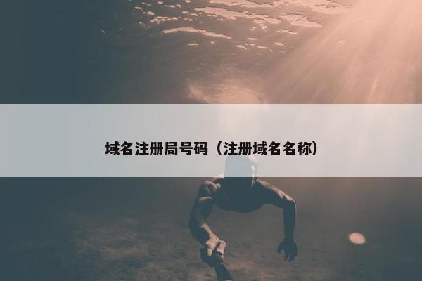 域名注册局号码（注册域名名称）