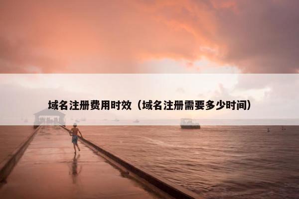 域名注册费用时效（域名注册需要多少时间）