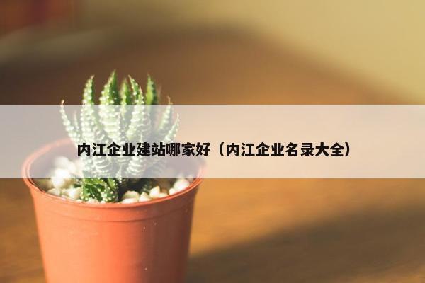 内江企业建站哪家好（内江企业名录大全）