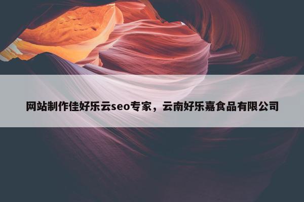 网站制作佳好乐云seo专家，云南好乐嘉食品有限公司