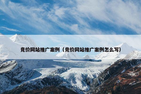 竞价网站推广案例（竞价网站推广案例怎么写）