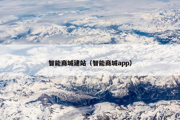 智能商城建站（智能商城app）