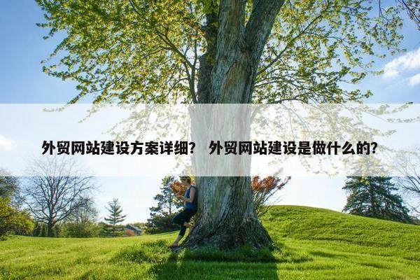 外贸网站建设方案详细？ 外贸网站建设是做什么的？