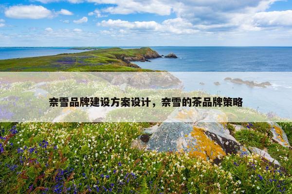 奈雪品牌建设方案设计，奈雪的茶品牌策略