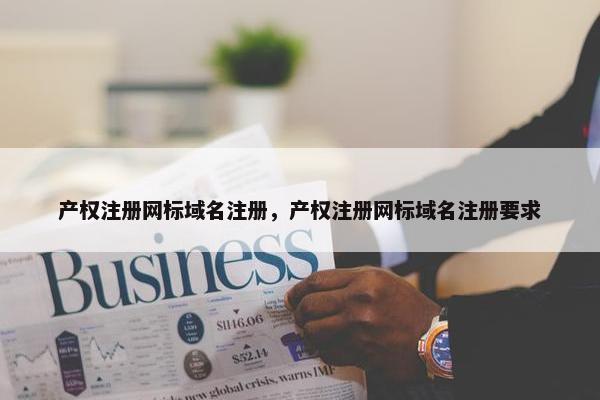 产权注册网标域名注册，产权注册网标域名注册要求