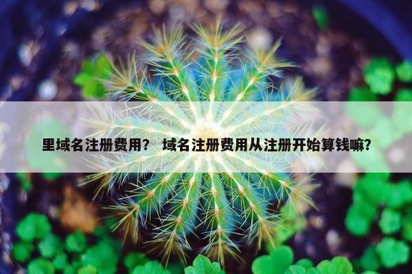 里域名注册费用？ 域名注册费用从注册开始算钱嘛？