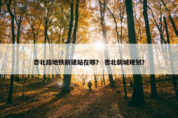 杏北路地铁新建站在哪？ 杏北新城规划？