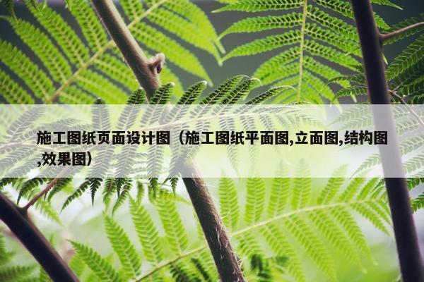 施工图纸页面设计图（施工图纸平面图,立面图,结构图,效果图）