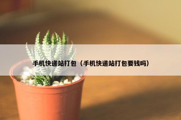 手机快递站打包（手机快递站打包要钱吗）