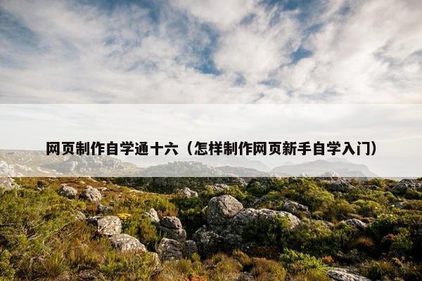 网页制作自学通十六（怎样制作网页新手自学入门）