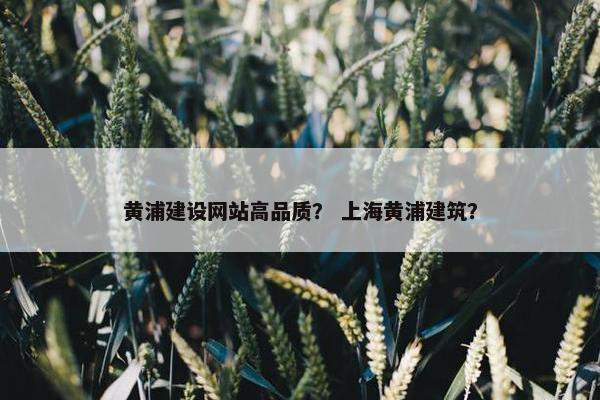 黄浦建设网站高品质？ 上海黄浦建筑？