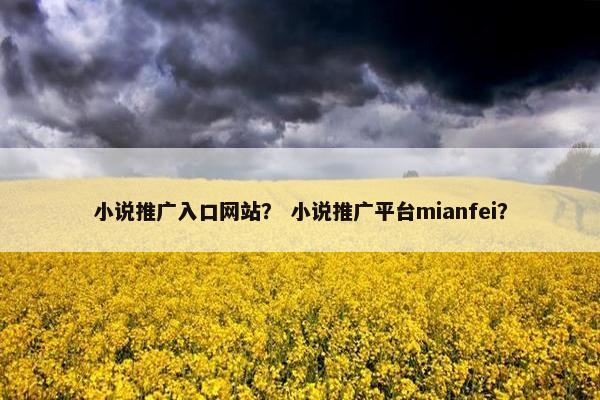 小说推广入口网站？ 小说推广平台mianfei？