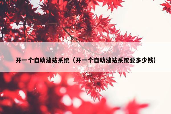 开一个自助建站系统（开一个自助建站系统要多少钱）